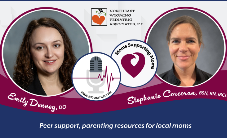Dr. Emily Denney and NEWPA nurse Stephanie Corcoran discuss peer support, parenting resources on Public Pulse